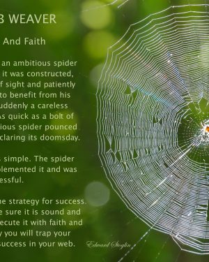 Web Weaver