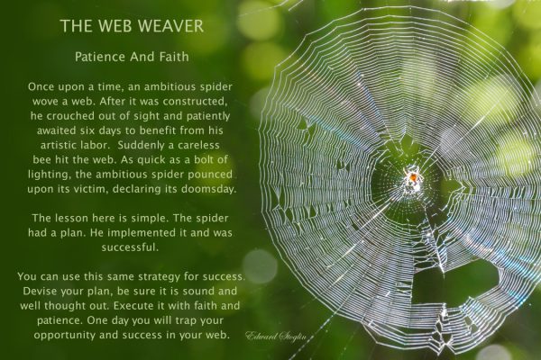 Web Weaver